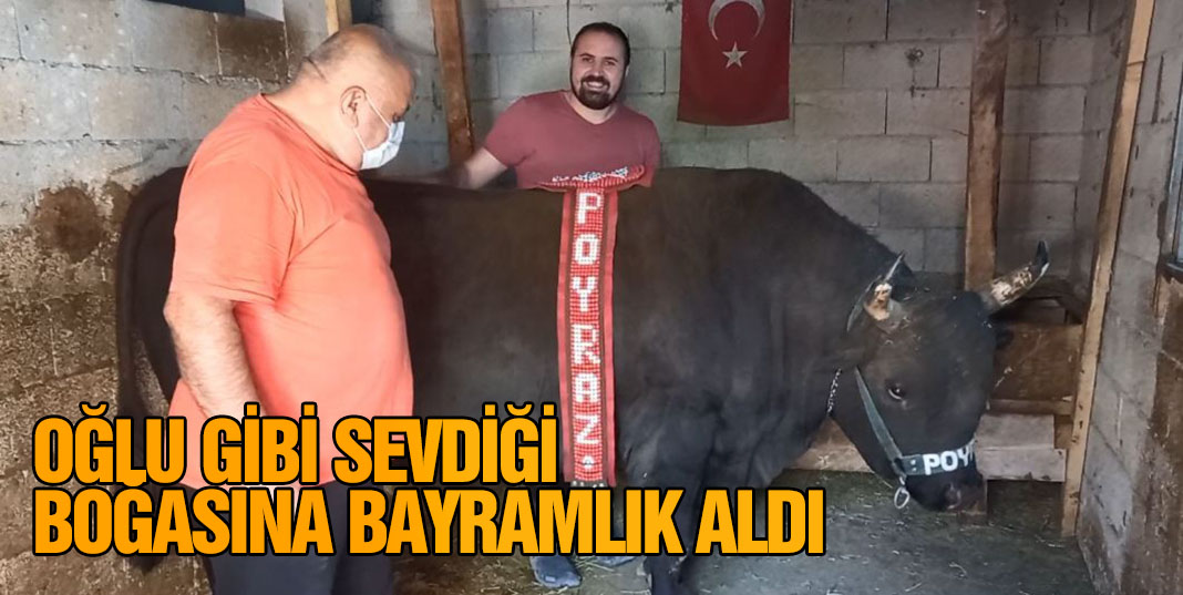 Oğlundan ayırt etmedi, boğasına da bayramlık aldı