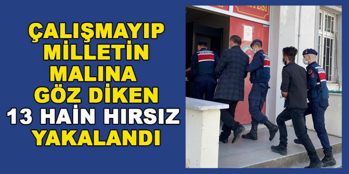 13 HIRSIZ SIKI BİR TAKİPLE YAKALANDI