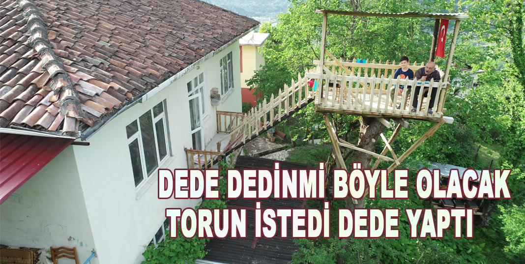 Torunu için evinin yanındaki ağaca ağaç ev yaptı