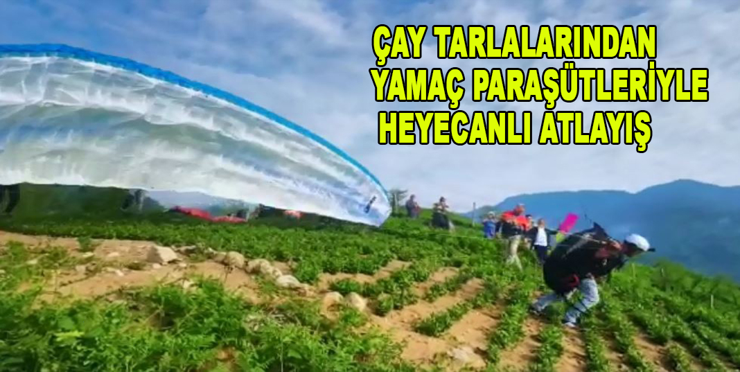 Çay tarlalarından yamaç paraşütleriyle heyecanlı atlayış