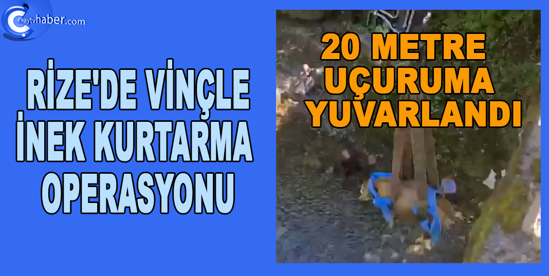 RİZE'DE VİNÇLE İNEK KURTARMA OPERASYONU