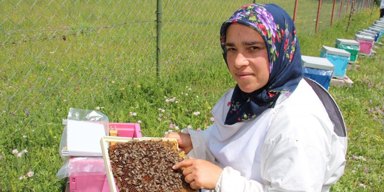Arıcılık Yaparak Kızlarını Okutuyor