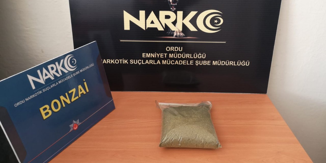 Ordu’da Uyuşturucu Operasyonu: 1 Tutuklama