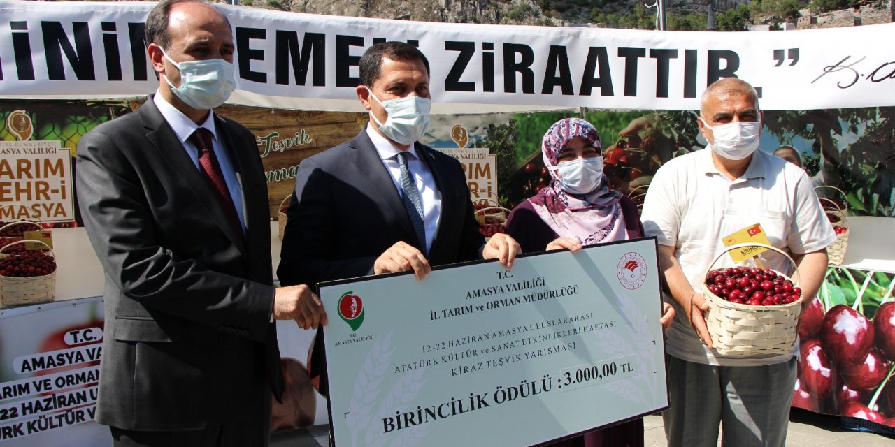 Amasya’da Kirazlar Yarıştı: Birinciye 3 Bin Tl Ödül
