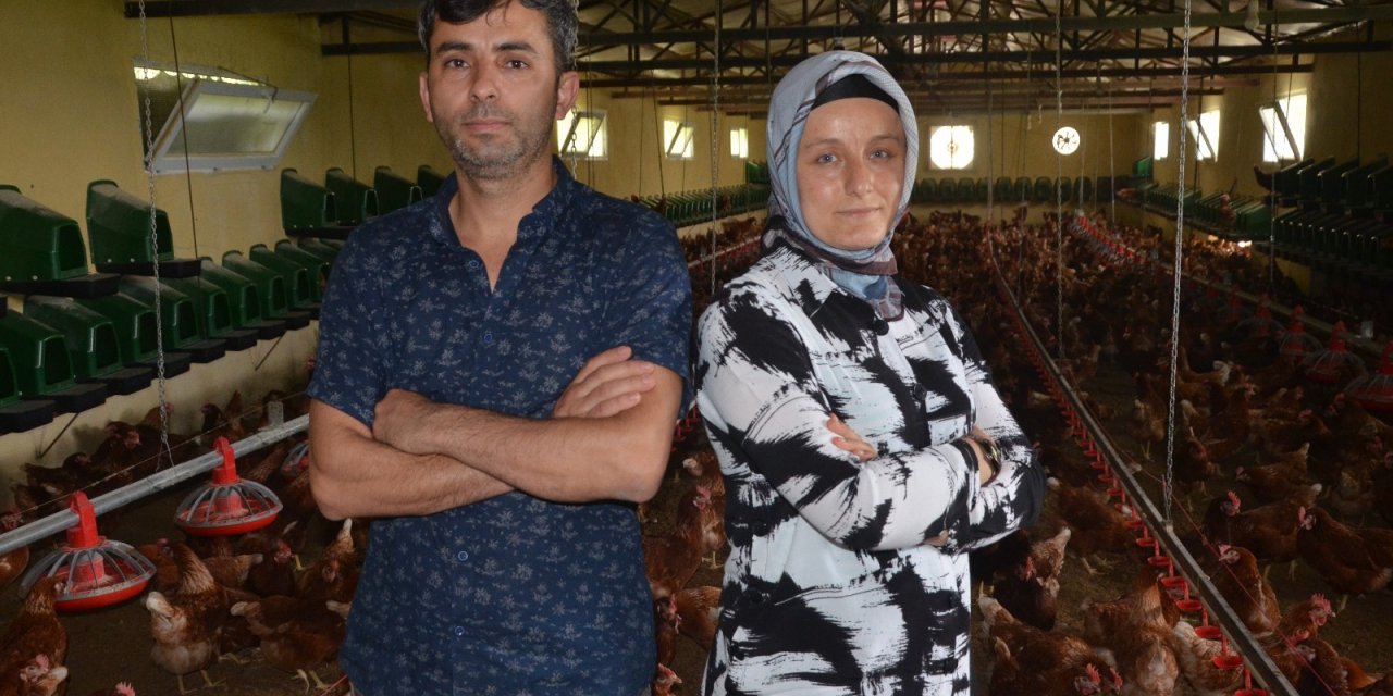 Organik Yumurta Üretimi Yapan Karı-koca, İhracata Başladı
