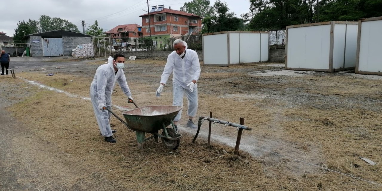 Kurban Pazarı İçin Çalışmalar Başladı