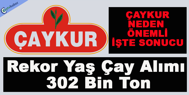 Çaykur’ Rekor Yaş Çay Alımı 302 Bin Ton