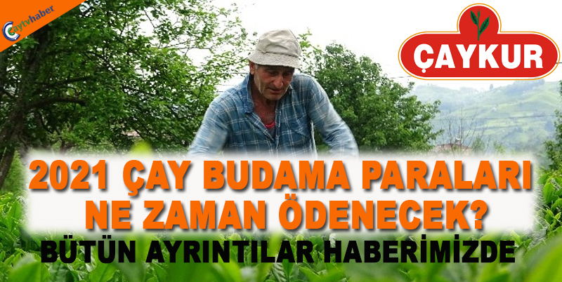 2021 Çay budama paraları ne zaman ödenecek?