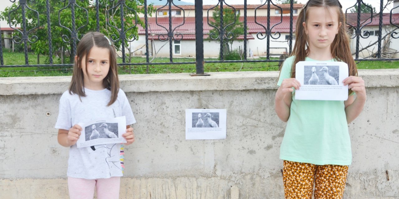 Kaybolan Ördeklerini Hazırladıkları Afişleri Duvarlara Asarak Arıyorlar
