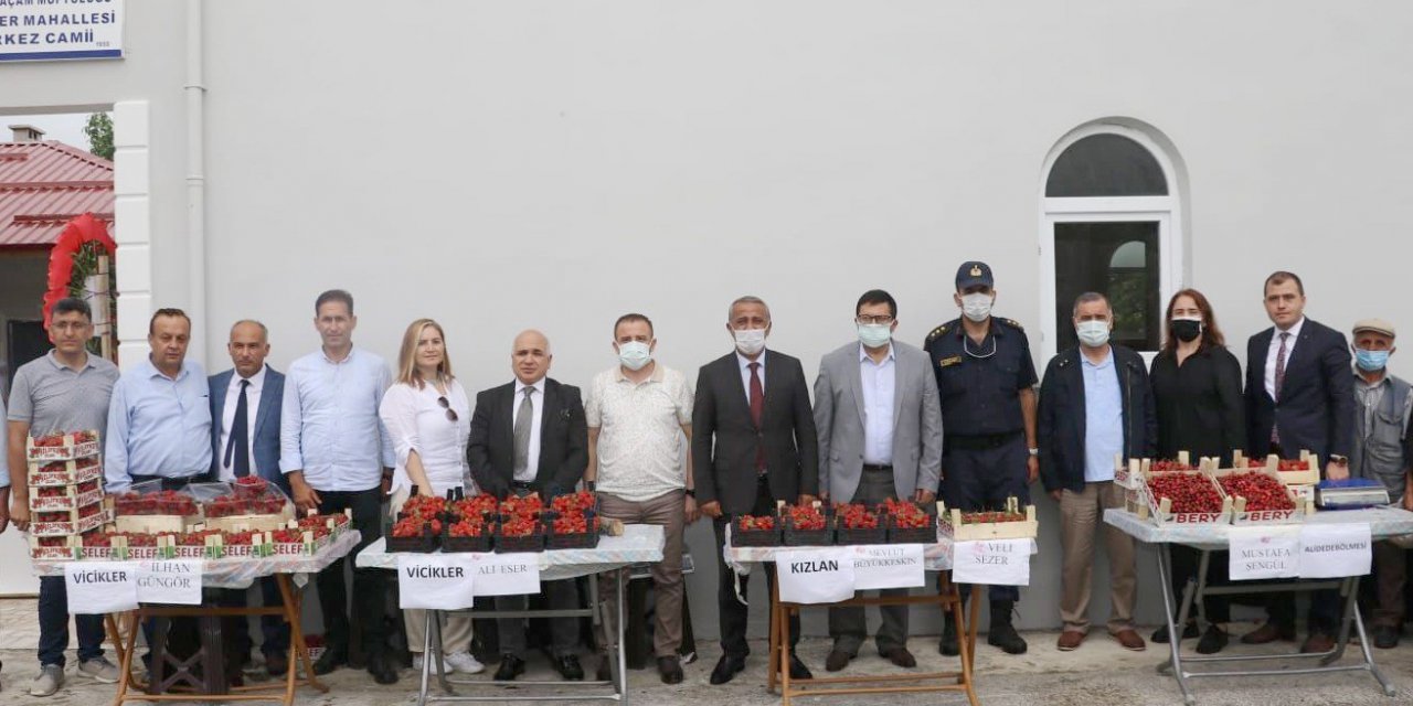 Samsun’da Çilek Üretimi Yaygınlaşıyor