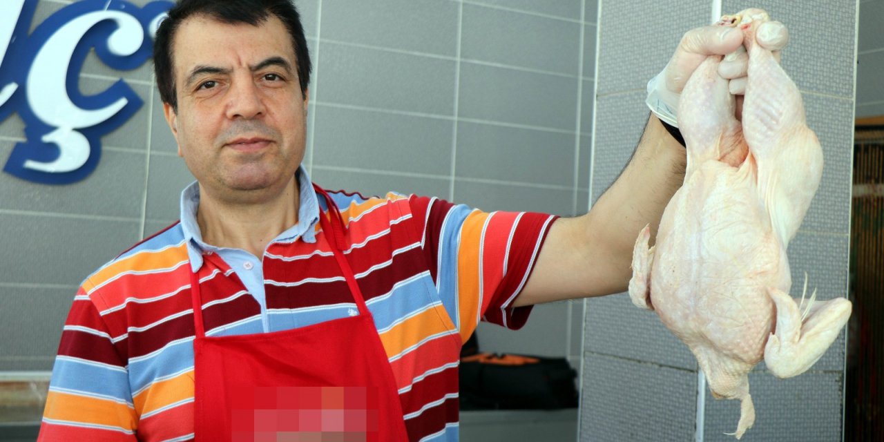 Tavuğun Önlenemez Yükselişi