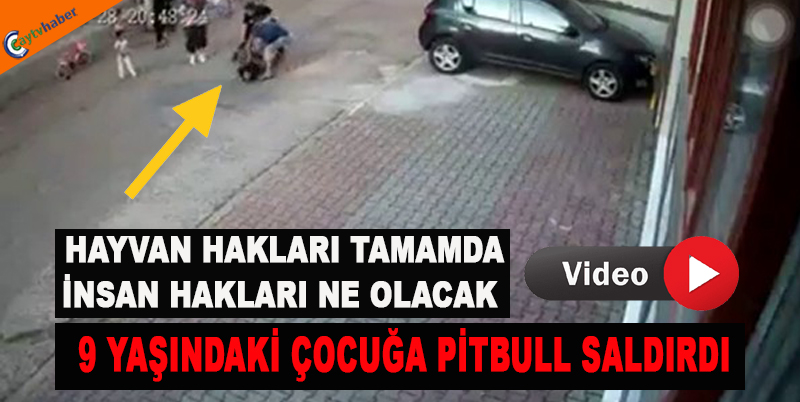 Kartal’da 9 yaşındaki çocuğa pitbull’un saldırdığı anlar kamerada