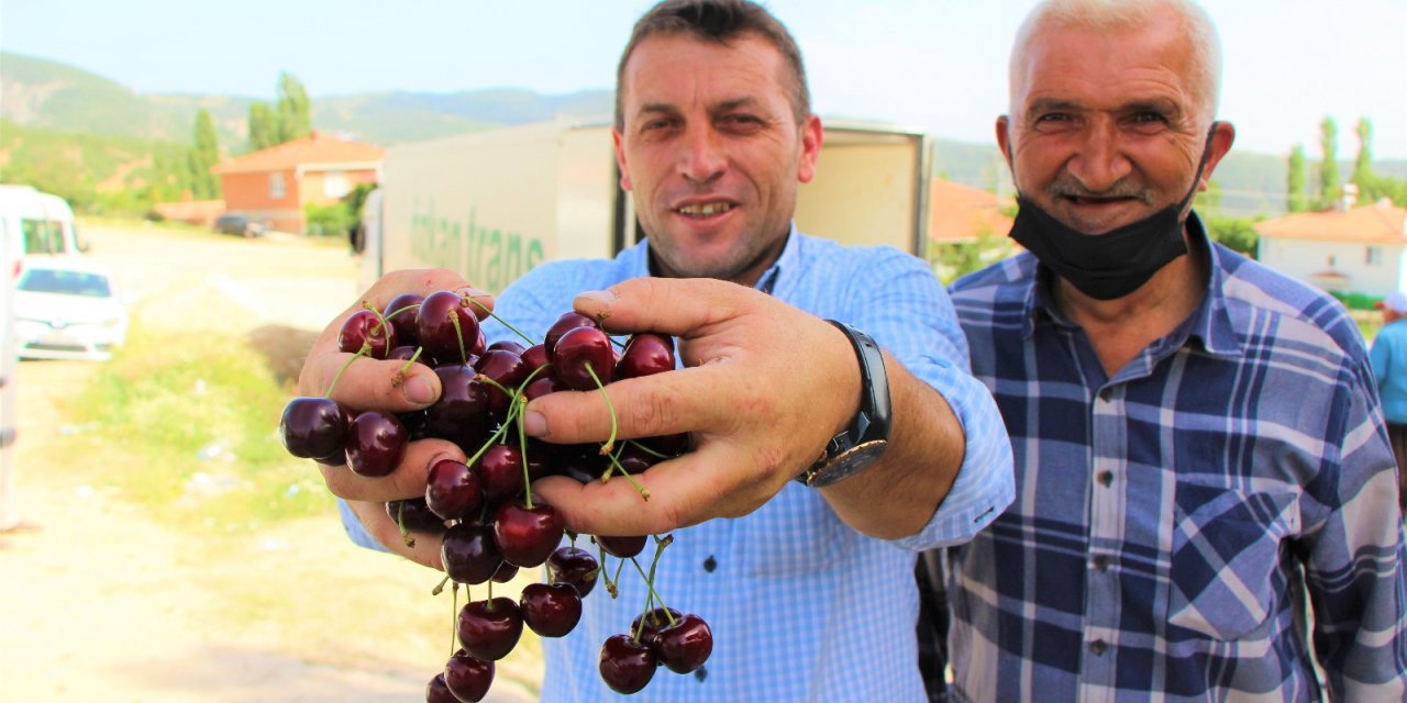 Amasya Kirazı Avrupa Ve Rusya’da Ağızları Tatlandırıyor