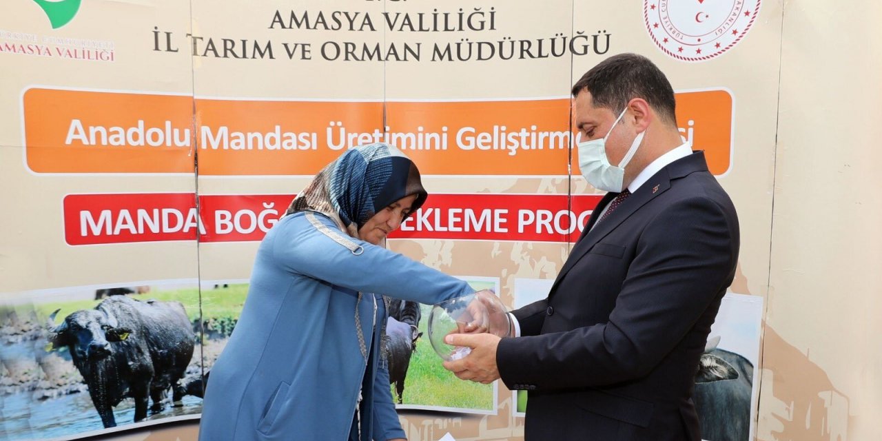 Vali Masatlı: “tarım Ve Hayvancılık Alanındaki Projelerimiz Devam Edecek”