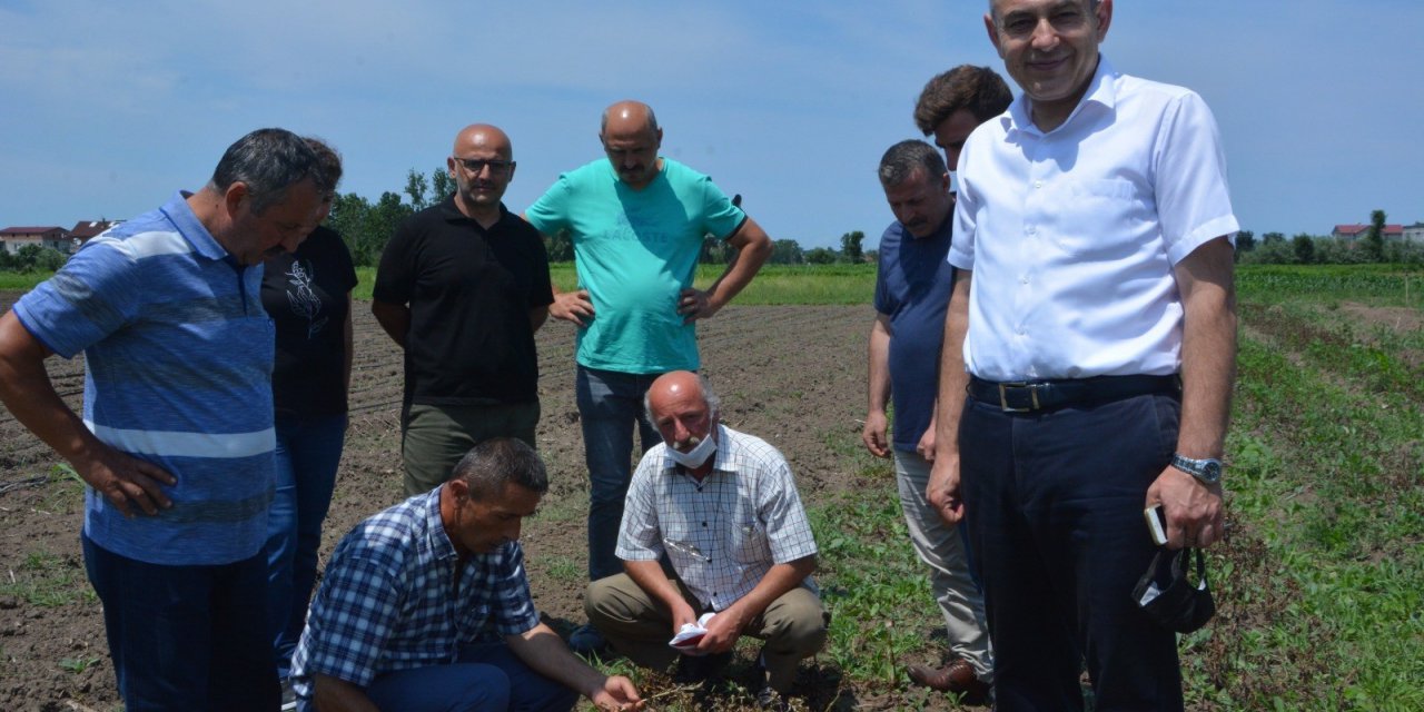 Trabzon’dan 19 Mayıs Salebini İncelemeye Geldiler