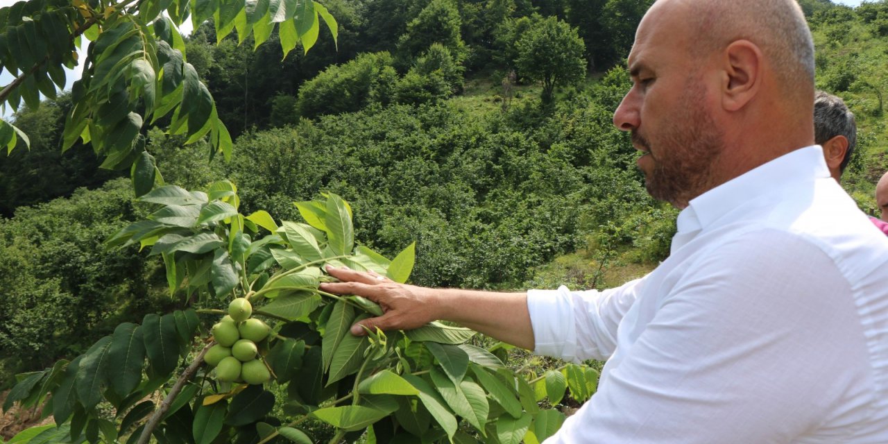 Tekkeköy’de Ekili Olmayan Boş Arazi Kalmayacak