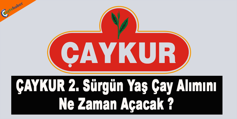 ÇAYKUR 2. Sürgün Yaş Çay Alımını Ne zaman Açacak ?