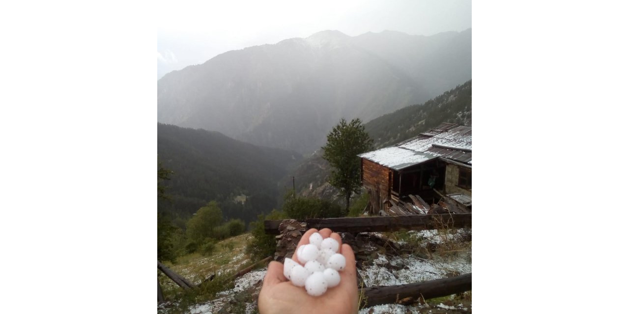 Artvin’de Dolu Yağışı Tarım Arazilerini Beyaza Bürüdü