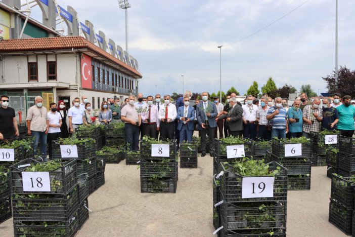 Rize’de Üreticilere 10 Bin Adet Maviyemiş Fidanı Dağıtıldı