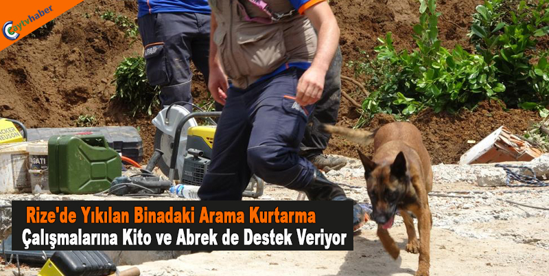 Rize’de Yıkılan Binadaki Arama Kurtarma Çalışmalarına Kito Ve Abrek De Destek Veriyor