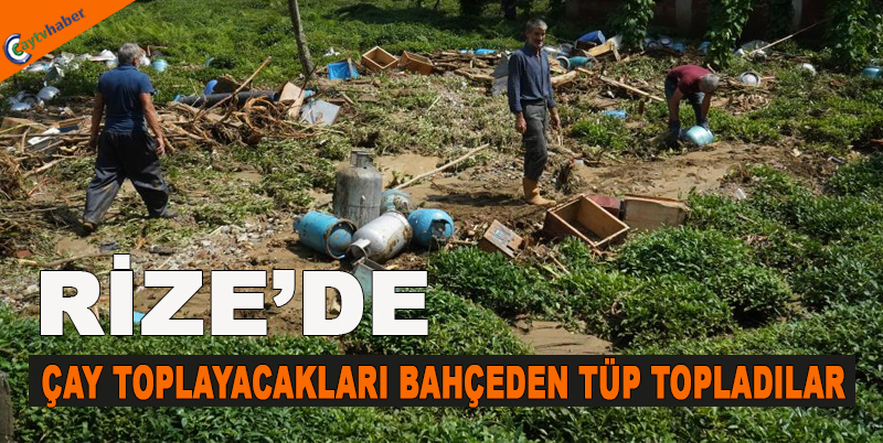 Rize'de Çay Toplayacakları Bahçeden Tüp Topladılar
