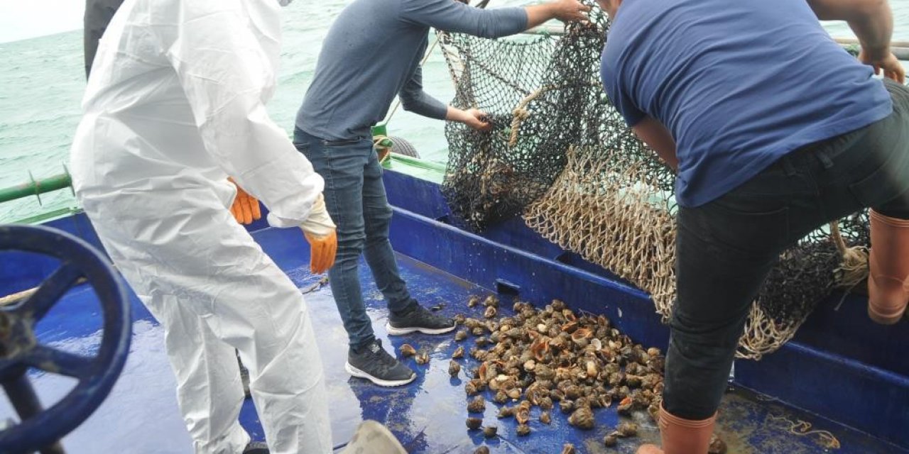 Samsun’da En Çok Hayvansal Ürün İhracatı Balık Yağı İle Gerçekleşti