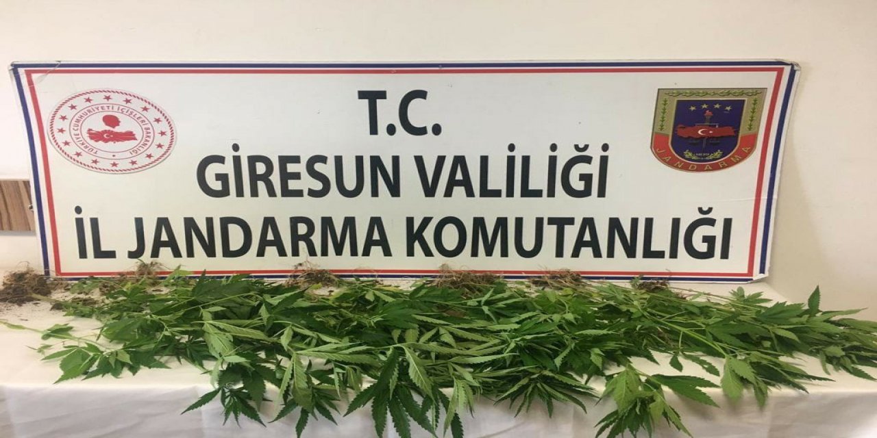 Baba Ve Oğlu Uyuşturucudan Tutuklandı