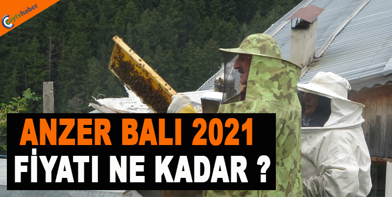 ANZER BALI 2021 FİYATI NE KADAR ?