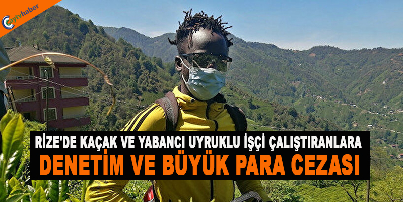 RİZE'DE KAÇAK VE YABANCI UYRUKLU İŞÇİ ÇALIŞTIRANLARA DENETİM VE BÜYÜK PARA CEZASI