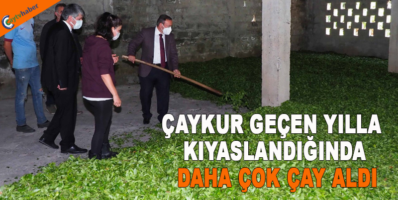 ÇAYKUR GEÇEN YILLA KIYASLANDIĞINDA DAHA ÇOK ÇAY ALDI