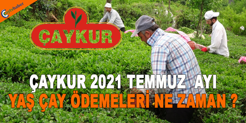 ÇAYKUR 2021 TEMMUZ AYI YAŞ ÇAY ÖDEMELERİ NE ZAMAN ?