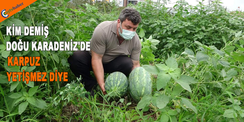 KİM DEMİŞ DOĞU KARADENİZ'DE KARPUZ YETİŞMEZ DİYE