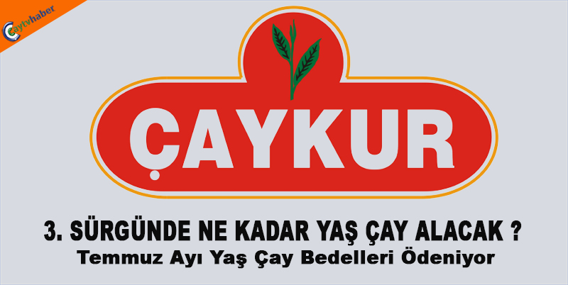 ÇAYKUR 3.YAŞ ÇAY SÜRGÜNDE NE KADAR YAŞ ÇAY ALACAK ?
