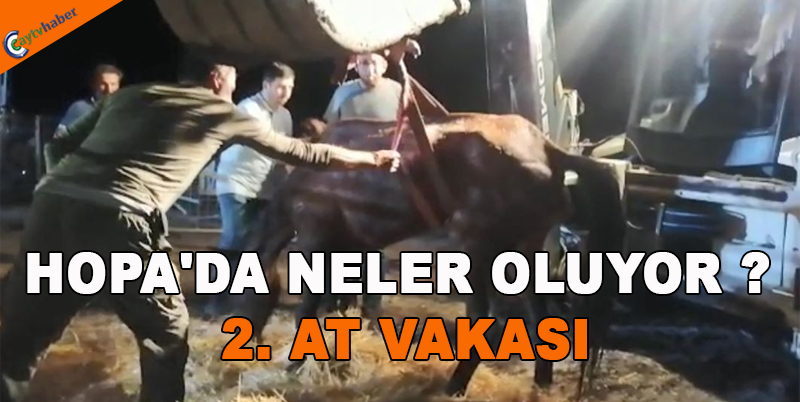 HOPA'DA NELER OLUYOR ? 2. AT VAKASI