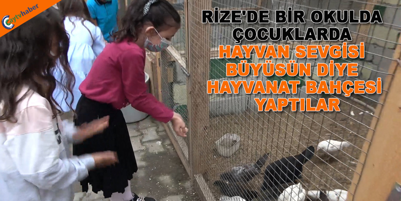 RİZE'DE BİR OKULDA ÇOCUKLARDA HAYVAN SEVGİSİ BÜYÜSÜN DİYE HAYVANAT BAHÇESİ YAPTILAR