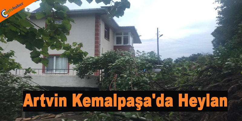 Artvin Kemalpaşa'da Heylan