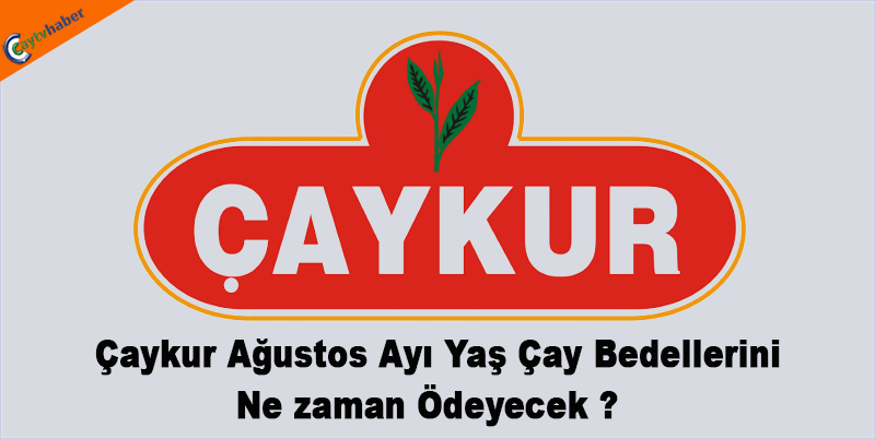 Çaykur Ağustos Ayı Yaş Çay Bedellerini Nezaman Ödeyecek ?