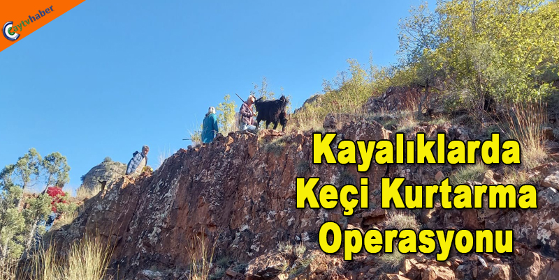 Kayalıklarda Keçi Kurtarma Operasyonu