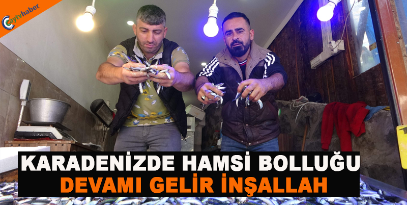 KARADENİZDE HAMSİ BOLLUĞU ,DEVAMI GELİR İNŞALLAH