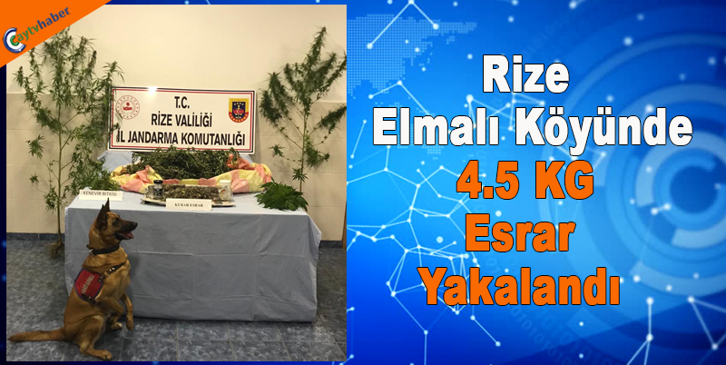 Rize Elmalı Köyünde 4.5 KG Esrar Yakalandı
