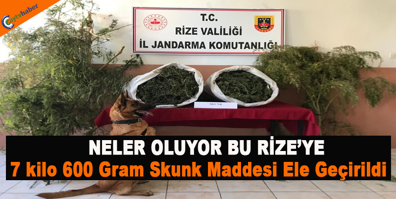 NELER OLUYOR BU RİZE’YE , 7 kilo 600 Gram Skunk Maddesi Ele Geçirildi