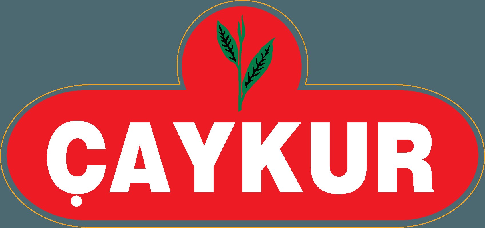 ÇAYKUR İŞÇİ MAAŞ FARKLARI HESAPLARA YATIRILIYOR