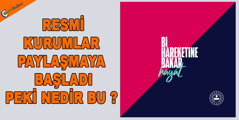 Bi hareketine bakar hayat nedir , ne demek ?