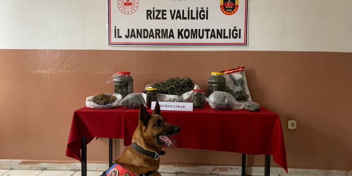 Rize'de 2640 gram esrar ele geçirildi