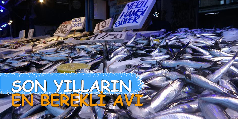 Hamsi Bu Sene Hem Esnafın Hem Vatandaşın Yüzünü güldürdü