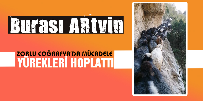 Zorlu Coğrafyada Tehlikeli Yolculuk
