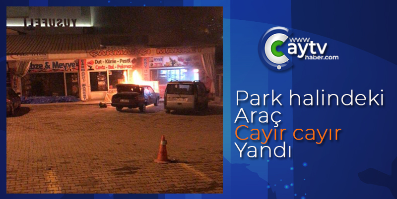 Park halindeki araç cayır cayır yandı