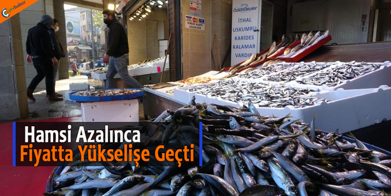 Hamsi Azalınca Fiyatta Yükselişe Geçti