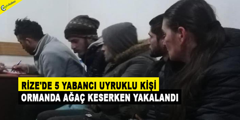RİZE'DE 5 YABANCI UYRUKLU KİŞİ ORMANDA AĞAÇ KESERKEN YAKALANDI