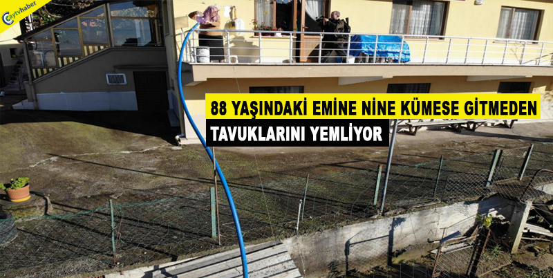88 YAŞINDAKİ EMİNE NİNE KÜMESE GİTMEDEN TAVUKLARINI YEMLİYOR